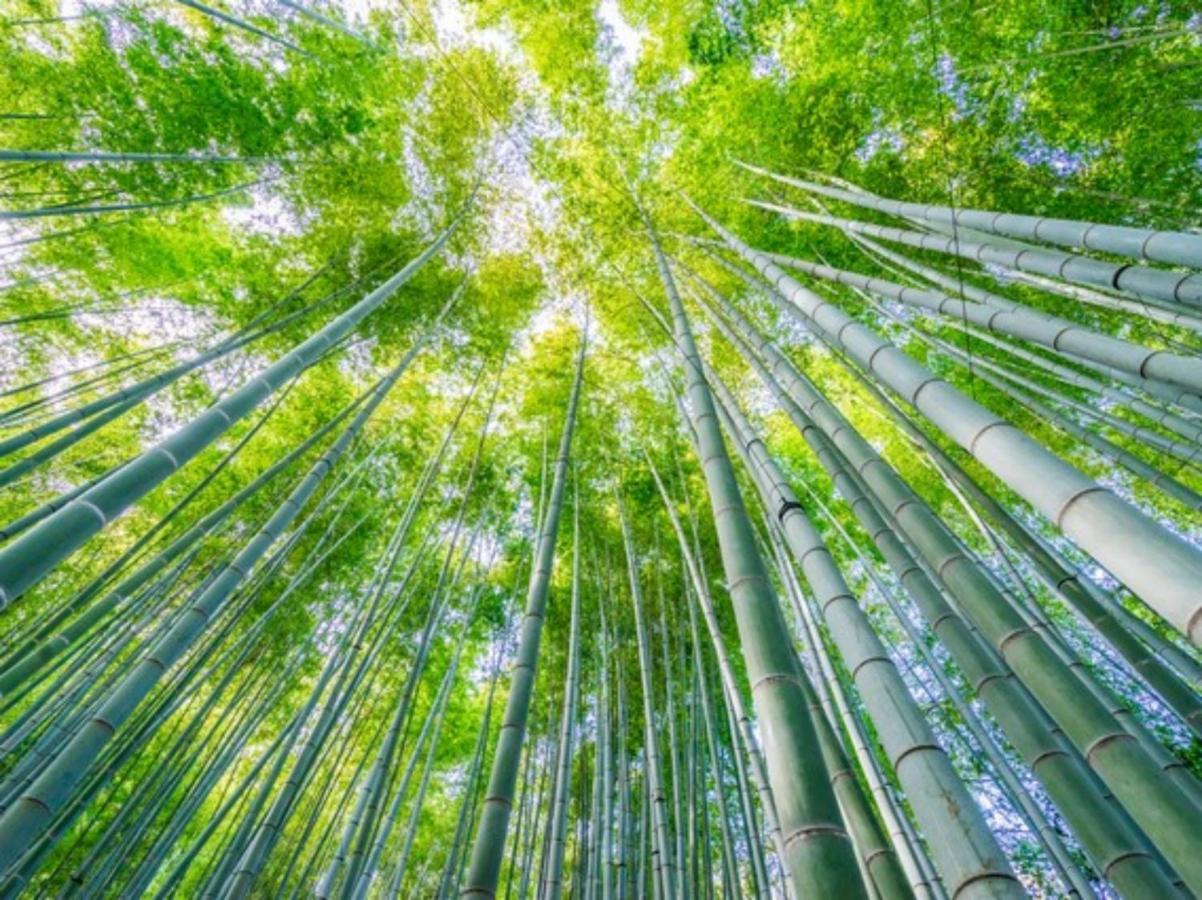 فندق Kamakura Cocon المظهر الخارجي الصورة