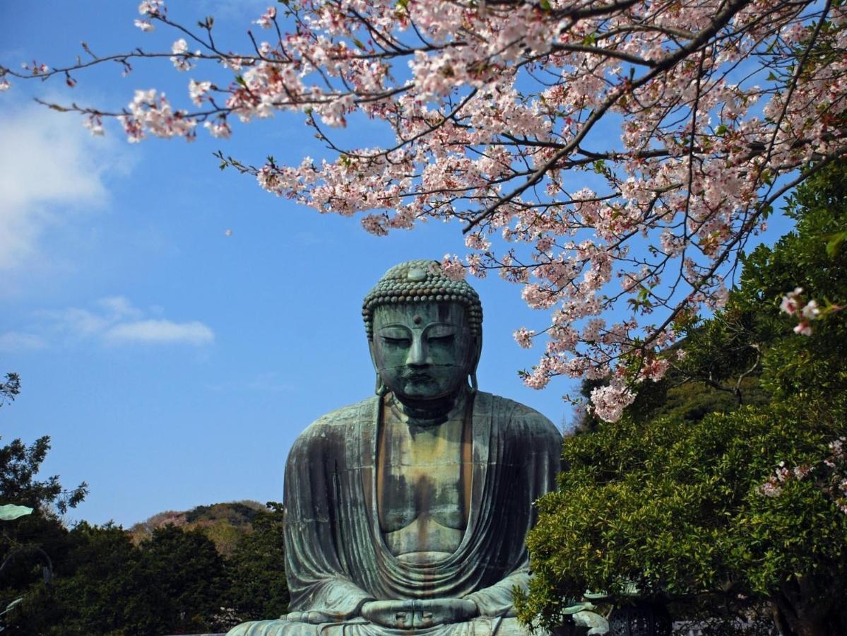 فندق Kamakura Cocon المظهر الخارجي الصورة