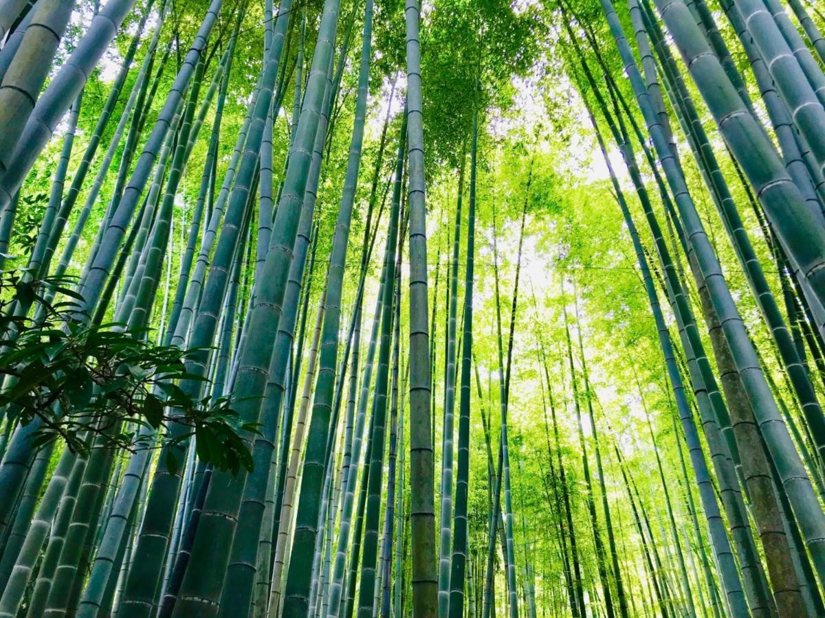 فندق Kamakura Cocon المظهر الخارجي الصورة