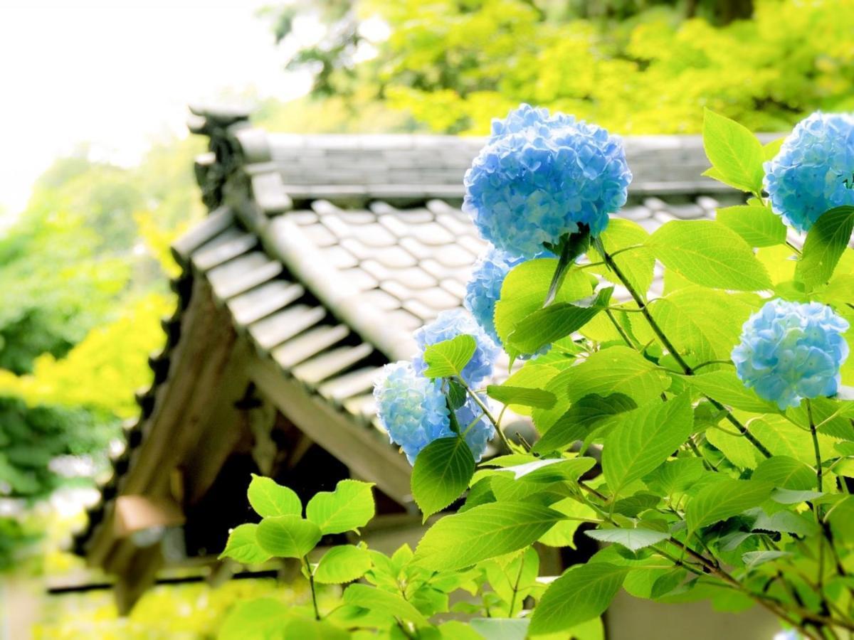 فندق Kamakura Cocon المظهر الخارجي الصورة