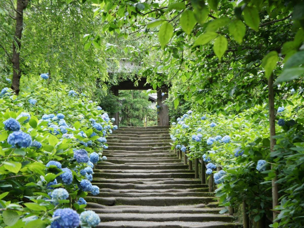 فندق Kamakura Cocon المظهر الخارجي الصورة